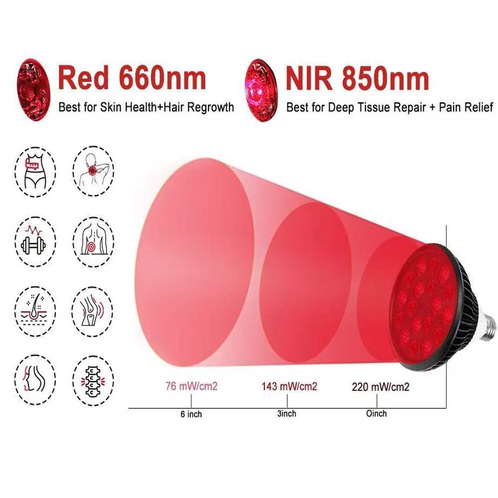 LED Infrared Light Therapy bul - K&G Women'S Formal Wear incelemesi ve fiyatı